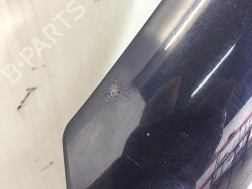 Left front door MERCEDES-BENZ M-CLASS (W163) ML 270 CDI (163.113) | BP15365447C2 