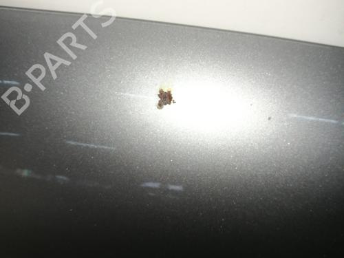 Hood VW GOLF IV (1J1) 1.6 16V | BP15366250C1 