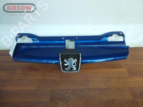Used Grille PEUGEOT 406 Break (8E/F) 1.8 16V (110 hp) 16175068