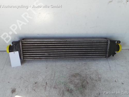 Intercooler FIAT GRANDE PUNTO (199_) 1.9 D Multijet | BP15362001M30 