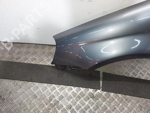 Left front fenders VW GOLF V Variant (1K5) 1.9 TDI | BP30893631C41