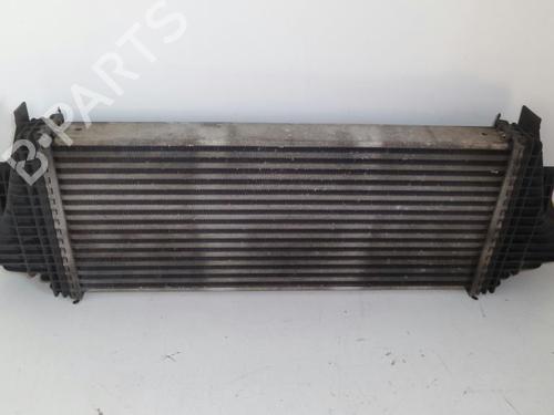 Used Intercooler MERCEDES-BENZ M-CLASS (W164) ML 280 CDI 4-matic (164.120) (190 hp) 15364755