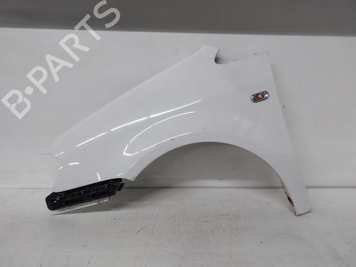 Used Left front fenders VW CADDY III Box Body/MPV (2KA, 2KH, 2CA, 2CH) 2.0 SDI (70 hp) 31348344