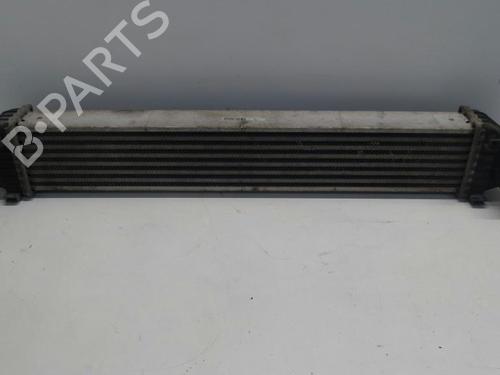 Used Intercooler MERCEDES-BENZ A-CLASS (W169) A 180 CDI (169.007, 169.307) (109 hp) 15364653