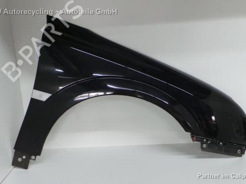Used Right front fenders OPEL SIGNUM Hatchback (Z03) 3.0 V6 CDTI (F48) (177 hp) 15363153