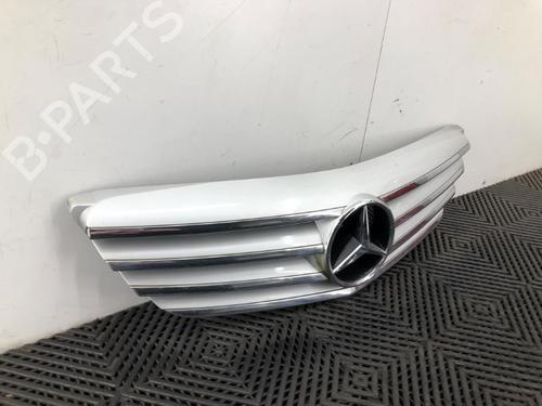 Grille MERCEDES-BENZ B-CLASS Sports Tourer (W245) B 180 CDI (245.207) | BP19101273C40 