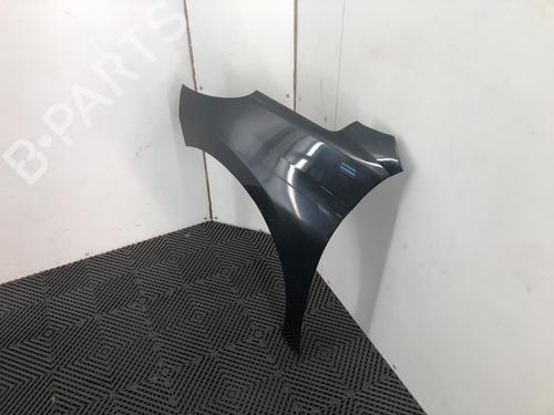 Left front fenders PEUGEOT 207 (WA_, WC_) 1.6 16V Turbo | BP16421937C41 