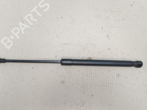 Hood lift support VW CADDY III Box Body/MPV (2KA, 2KH, 2CA, 2CH) 2.0 SDI | BP15532531C139 
