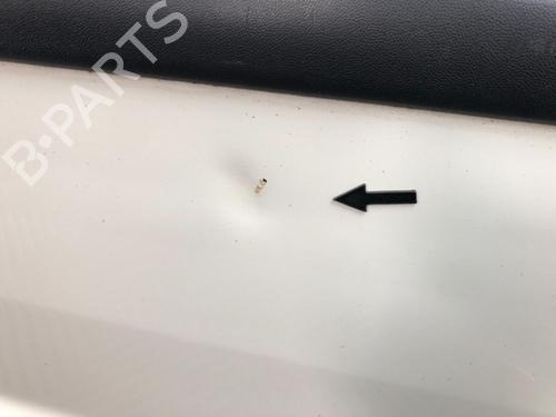 Right slide door VW CADDY III Box Body/MPV (2KA, 2KH, 2CA, 2CH) 2.0 SDI | BP16899133C75 