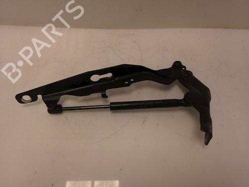 Hood lift support VOLVO V70 III (135) D3 | BP15337984C139 