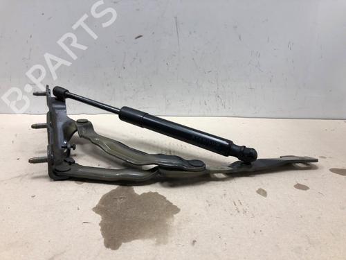 Hinge/Door check strap TESLA MODEL 3 (5YJ3) EV Performance AWD | BP37209936C146 - Image 3