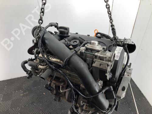 Engine VW GOLF PLUS V (5M1, 521) 1.9 TDI | BP37209722M1 - Image 5