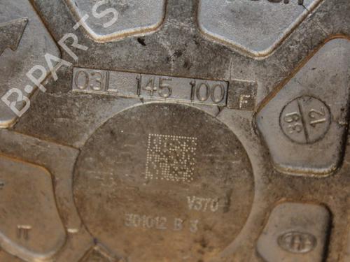 Vacuum pump SEAT LEON (1P1) 2.0 TDI | BP16398743M80 