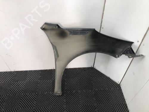 Left front fenders PEUGEOT 207 (WA_, WC_) 1.6 16V Turbo | BP16421937C41 