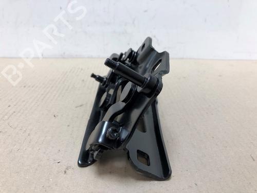 Hinge/Door check strap AUDI A3 (8V1, 8VK) 1.0 TFSI | BP16570688C146 