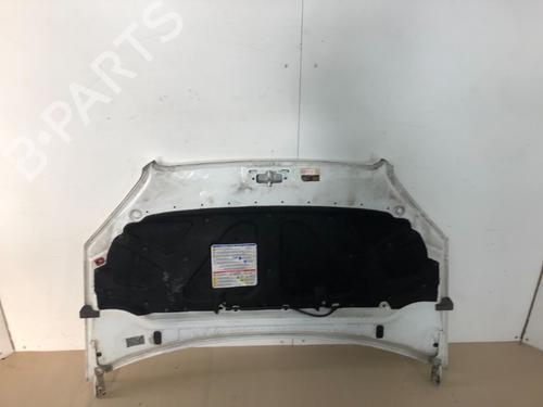 Hood FIAT DOBLO Box Body/MPV (223_) 1.3 D Multijet | BP15344954C1 