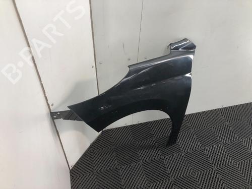 Left front fenders PEUGEOT 207 (WA_, WC_) 1.6 16V Turbo | BP16421937C41 