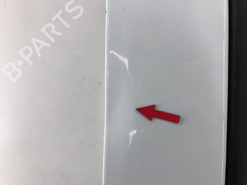 Right front door RENAULT CLIO III (BR0/1, CR0/1) 1.2 16V (BR02, BR0J, BR11, CR02, CR0J, CR11) | BP15348184C3 