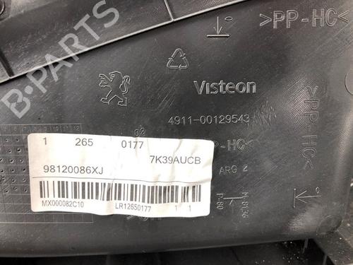 Rear left panel PEUGEOT 2008 I (CU_) 1.2 THP 110 / PureTech 110 | BP37205548C60 - Image 7