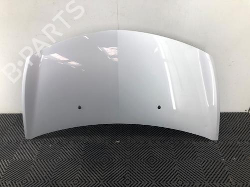 Used Hood RENAULT CLIO III (BR0/1, CR0/1) 1.2 16V (BR0P, CR0P) (101 hp) 19520517