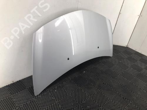 Hood RENAULT CLIO III (BR0/1, CR0/1) 1.2 16V (BR0P, CR0P) | BP19520517C1 