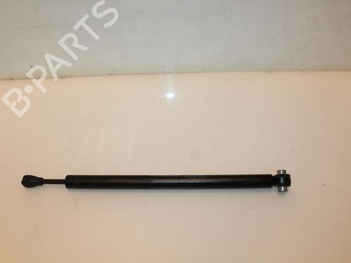 Used Hinge/Door check strap MERCEDES-BENZ S-CLASS (W221, V221) S 350 BlueTec (221.026, 221.126) (258 hp) 15321445