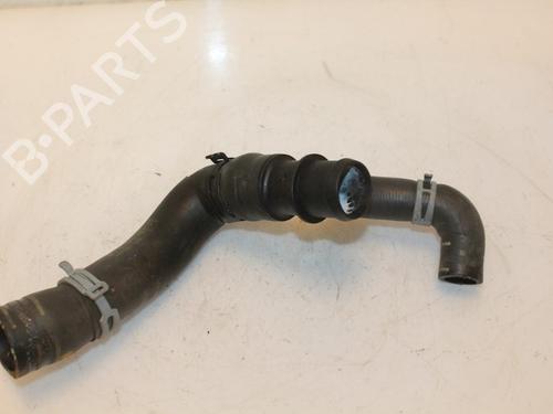 Pipe VW GOLF VI (5K1) 2.0 TDI | BP15796601M125 