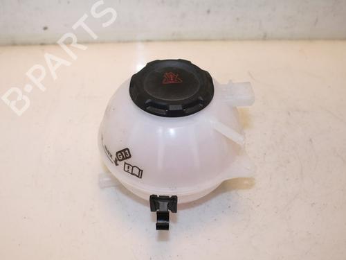 Used Expansion tank SKODA RAPID (NH3, NK3, NK6) 1.0 TSI (95 hp) 15736247