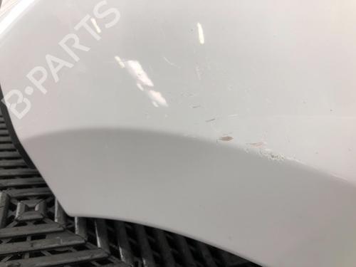 Left front fenders FIAT DUCATO Van (250_) 180 Multijet 2,3 D | BP15968768C41 