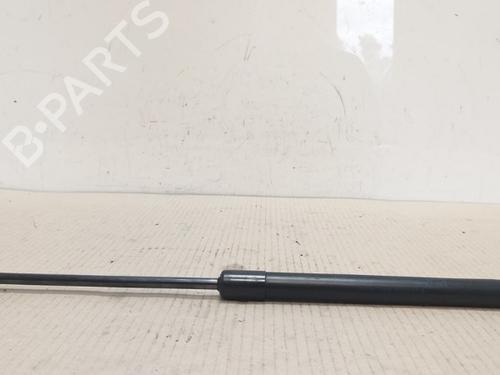 Used Hood lift support VW CADDY III Box Body/MPV (2KA, 2KH, 2CA, 2CH) 2.0 SDI (70 hp) 15532531