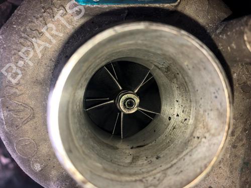 Engine VW TRANSPORTER T5 Van (7HA, 7HH, 7EA, 7EH) 1.9 TDI | BP26875268M1 