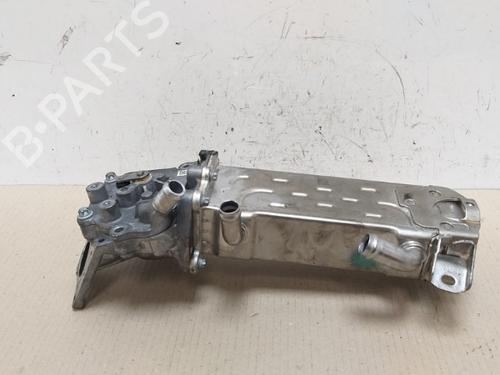 Used Egr Egr 15343787 15343787