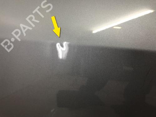 Dør højre bagtil OPEL SIGNUM Hatchback (Z03) 3.0 V6 CDTI (F48) | BP15531331C5 