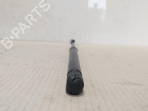 Hood lift support VW CADDY III Box Body/MPV (2KA, 2KH, 2CA, 2CH) 2.0 SDI | BP15532531C139 