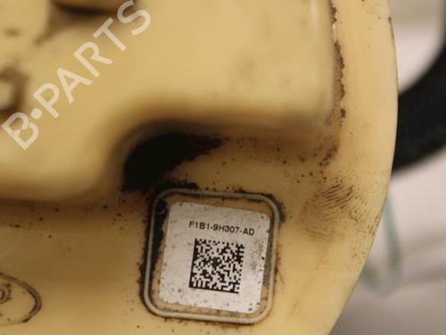 Fuel pump FORD FIESTA VII (HJ, HF) 1.5 TDCi | BP15335060M76 
