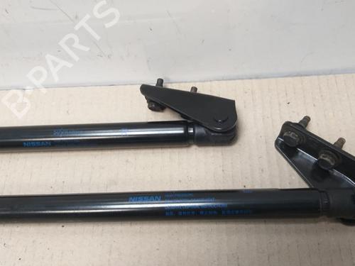 Tailgate lift support NISSAN JUKE (F16_) DIG-T 117 | BP17376565C138