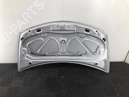 Hood RENAULT CLIO III (BR0/1, CR0/1) 1.2 16V (BR0P, CR0P) | BP19520517C1 