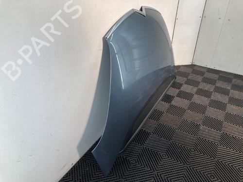 Hood CITROËN C4 Grand Picasso I (UA_) 2.0 HDi 138 | BP23123987C1