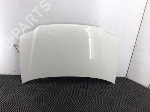 Used Hood VW CADDY III Box Body/MPV (2KA, 2KH, 2CA, 2CH) 2.0 SDI (70 hp) 21805524