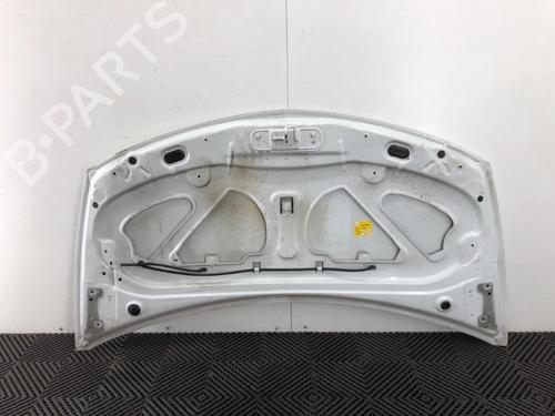 Hood RENAULT CLIO III (BR0/1, CR0/1) 1.2 16V | BP16914902C1 