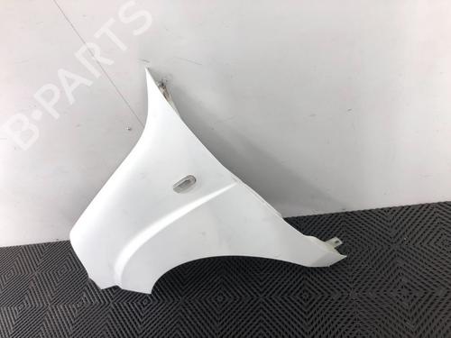 Left front fenders FIAT DOBLO Box Body/MPV (223_) 1.3 JTD 16V Multijet | BP16757199C41 