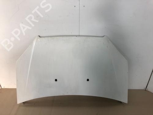 Used Hood FIAT DOBLO Box Body/MPV (223_) 1.3 D Multijet (75 hp) 15344954