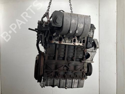 Motore VW CADDY III Box Body/MPV (2KA, 2KH, 2CA, 2CH) 2.0 SDI (70 hp) 25379603