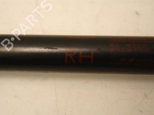 Tailgate lift support KIA PICANTO II (TA) 1.0 | BP15334862C138 