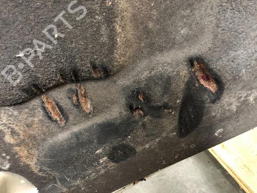 Used Hood FORD TRANSIT Van (FA_ _) 2.0 DI (FAE_, FAF_, FAG_) (100 hp) 15536592