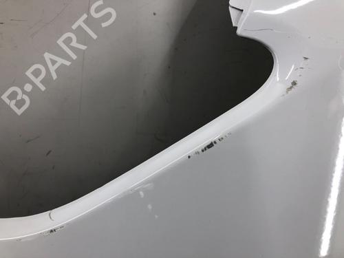 Left front fenders FIAT DUCATO Van (250_) 180 Multijet 2,3 D | BP15964621C41 