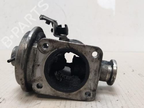 Egr BMW 3 (E90) 320 d | BP15532361M69 