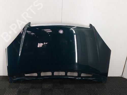 Used Hood MERCEDES-BENZ A-CLASS (W169) A 160 CDI (169.006, 169.306) (82 hp) 16265689