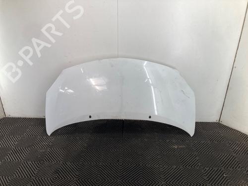 hood-renault-twingo-ii-cn0_-2007-37207694 main image