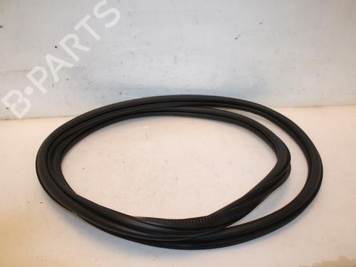 Used Rubber door seal VW POLO VI (AW1, BZ1, AE1) 2.0 GTI (200 hp) 15829678